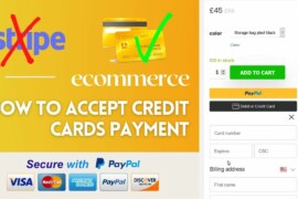 How to Accept Credit Card Payments Online without Stripe | WordPress Ecommerce