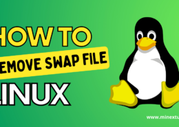 How to Remove/ Delete swap Virtual Memory in Linux?