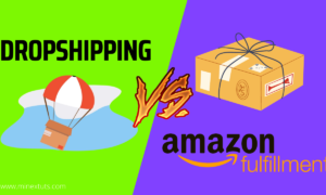 Amazon FBA vs Dropshipping : What is the Best Way to Start an Online Business?